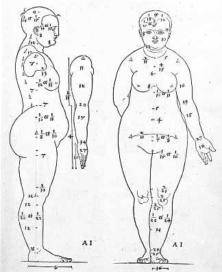 女性头部的侧面和正面视图 Side and frontal view of the female head (1528)，阿尔布雷希特·丢勒