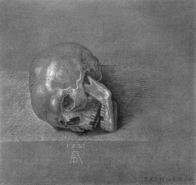 头盖骨 Skull (1521)，阿尔布雷希特·丢勒