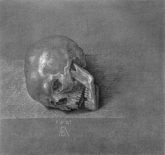 头盖骨 Skull (1521)，阿尔布雷希特·丢勒