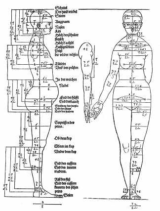 女性身体比例研究 Studies on the Proportions of the Female Body (1528)，阿尔布雷希特·丢勒