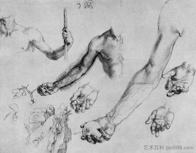 男性手和手臂的研究 Study of male hands and arms (1504)，阿尔布雷希特·丢勒