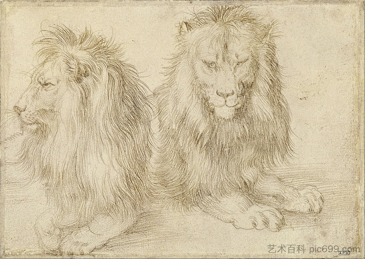 两只坐着的狮子 Two seated lions (1521)，阿尔布雷希特·丢勒