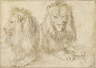 两只坐着的狮子 Two seated lions (1521)，阿尔布雷希特·丢勒