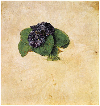 紫色花束 Violet Bouquet (c.1502)，阿尔布雷希特·丢勒