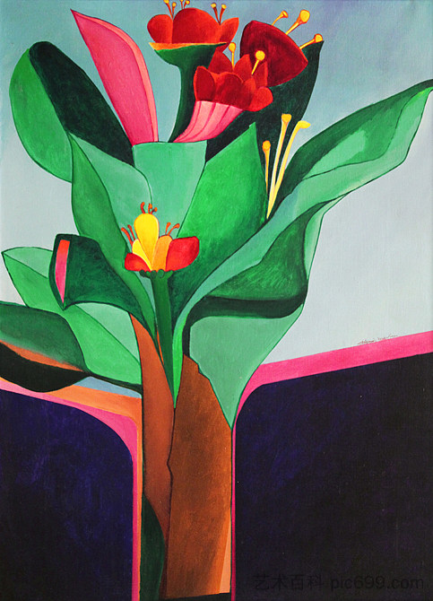 花 Flores (1971)，阿尔代米尔·马丁斯