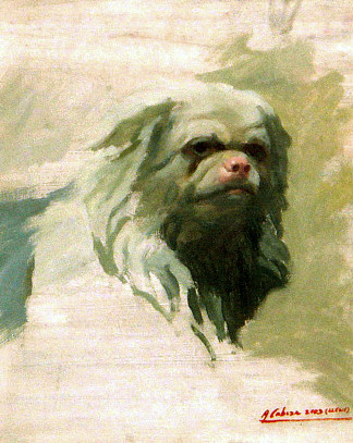 狗的肖像 Portrait of dog (2003)，亚历杭德罗·卡贝萨