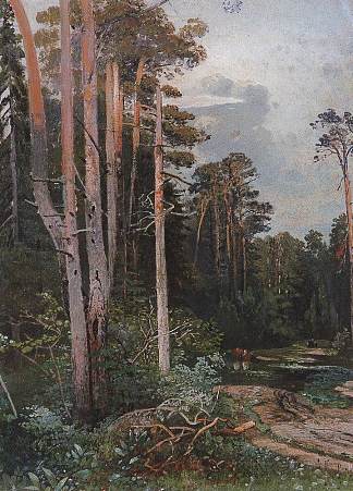 索科利尼基的森林道路 Forest road in Sokolniki (c.1860)，阿列克谢·孔德拉季耶维奇·萨伏拉索夫