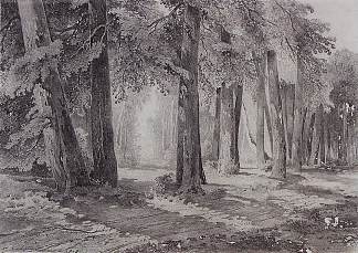 在公园里 In the park (1858)，阿列克谢·孔德拉季耶维奇·萨伏拉索夫