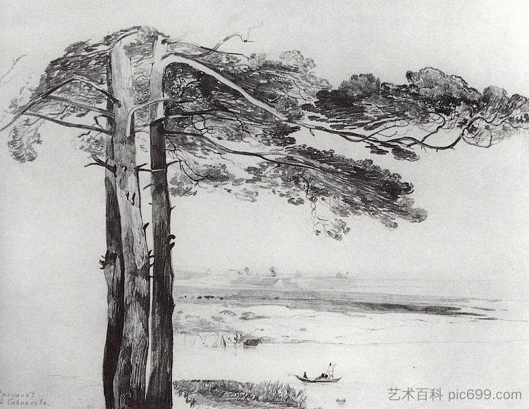 来自古萨雷瓦的松树 Pine from Gusareva (c.1850)，阿列克谢·孔德拉季耶维奇·萨伏拉索夫