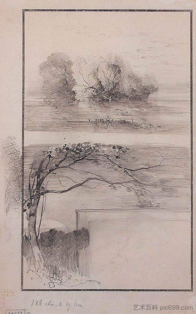 水边的树木。树枝 Trees near the water. Branches of trees (c.1870)，阿列克谢·孔德拉季耶维奇·萨伏拉索夫