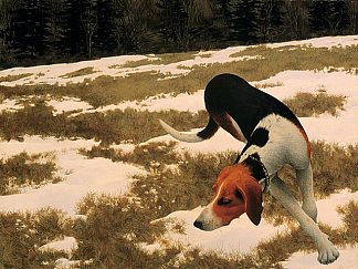野外猎犬 Hound in Field (1958)，科尔维尔