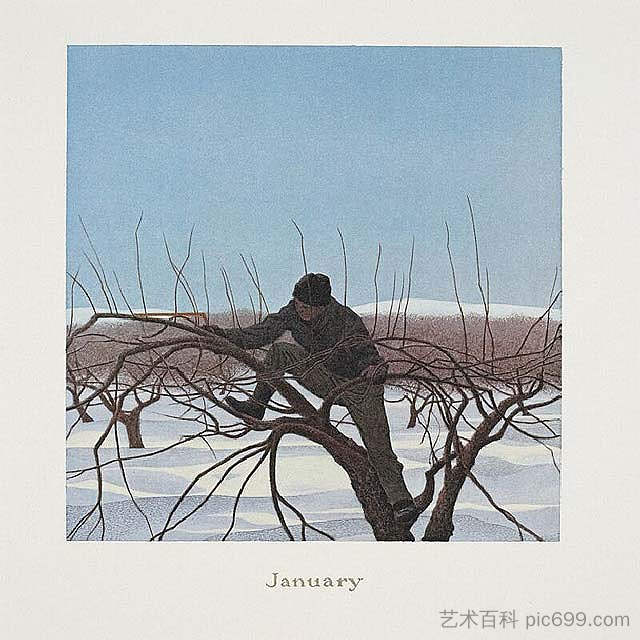 一月 January (1979)，科尔维尔