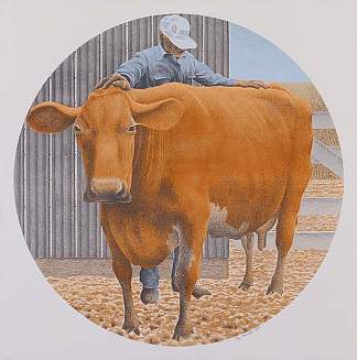 奖牛 Prize Cow (1977)，科尔维尔