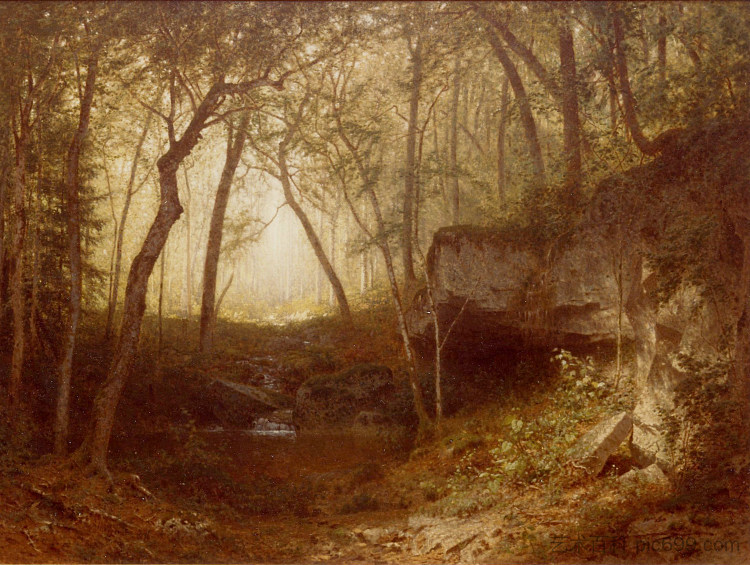 在阿迪朗达克的荒野中 In the Wilds of the Adirondacks (1876),亚历山大·海威格·怀恩特