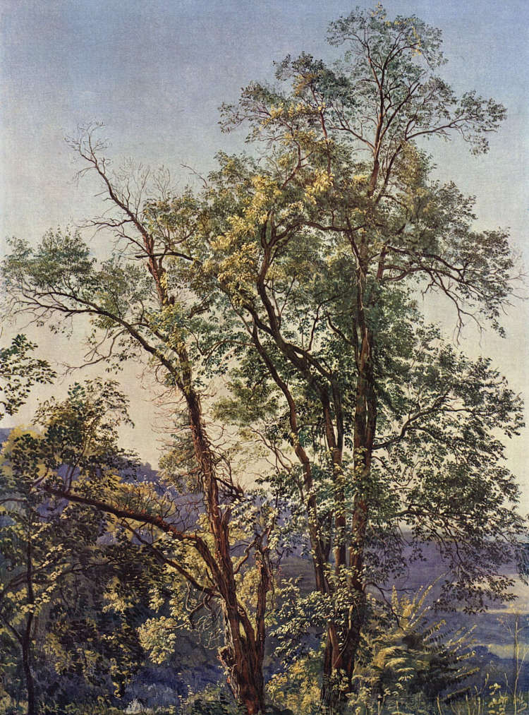 橄榄树 Olive trees (c.1825; Russian Federation  )，亚历山大·伊万诺夫