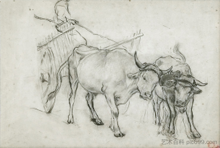 研究几头牛 Study of a couple of oxen,阿尔弗雷德·德霍登克