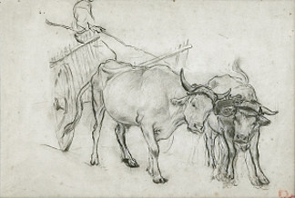 研究几头牛 Study of a couple of oxen，阿尔弗雷德·德霍登克