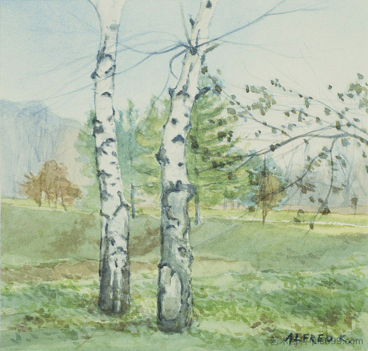 两棵桦树 Two birches (1995; Karlovac,Croatia  )，阿尔弗雷德·弗雷迪·克鲁帕