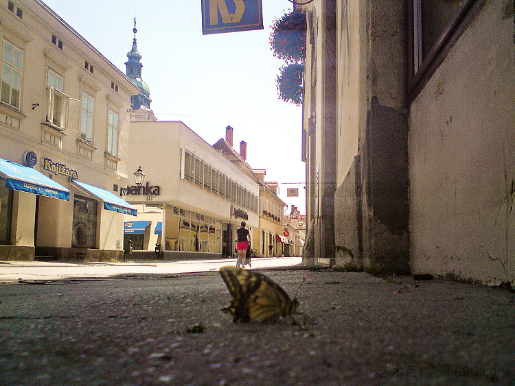 在街上与蝴蝶交谈 Talking at the street to the butterfly (2014; Croatia  )，阿尔弗雷德·弗雷迪·克鲁帕