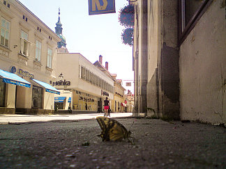在街上与蝴蝶交谈 Talking at the street to the butterfly (2014; Croatia                     )，阿尔弗雷德·弗雷迪·克鲁帕