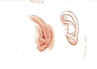 研究。耳朵 （16.04.1992） Study. Ear (16.04.1992) (1992; Croatia                     )，阿尔弗雷德·弗雷迪·克鲁帕