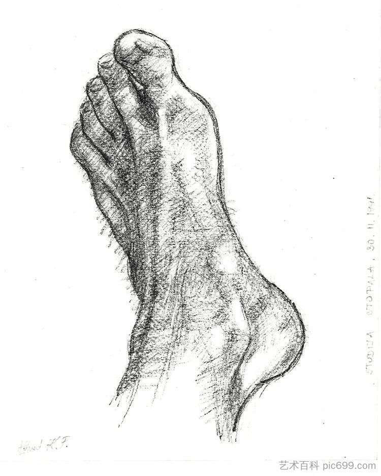 足部研究 (30.11.1991) Foot study (30.11.1991) (1991; Karlovac,Croatia ),阿尔弗雷德·弗雷迪·克鲁帕