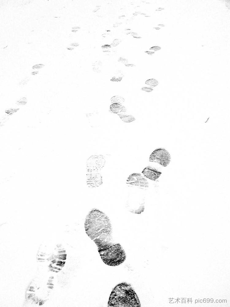 雪地里的脚印 Footprints in the snow (2016; Karlovac,Croatia ),阿尔弗雷德·弗雷迪·克鲁帕