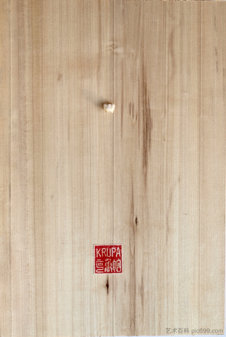 生殖艺术:作品2 Progenic Art: work No. 2 (2015; Karlovac,Croatia ),阿尔弗雷德·弗雷迪·克鲁帕