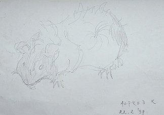 保存的临时草图：“咪咪”-豚鼠（22.2.97）。 The saved ad hoc sketch: “Mimi”- the guinea pig (22.2.97.) (1997; Karlovac,Croatia                     )，阿尔弗雷德·弗雷迪·克鲁帕