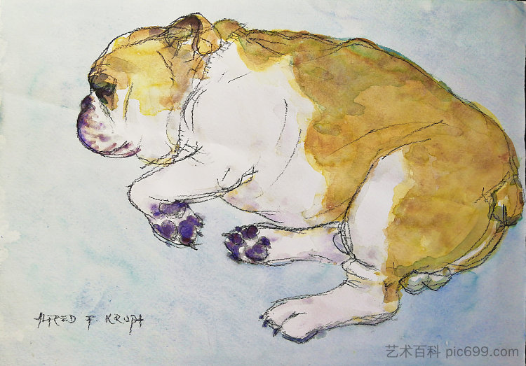 我们的斯派克睡眠 Our Spike sleeps (2007; Karlovac,Croatia ),阿尔弗雷德·弗雷迪·克鲁帕