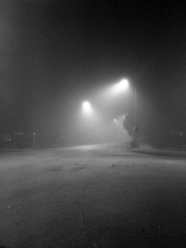 城市中的雾 Fog in the city (2016; Karlovac,Croatia  )，阿尔弗雷德·弗雷迪·克鲁帕