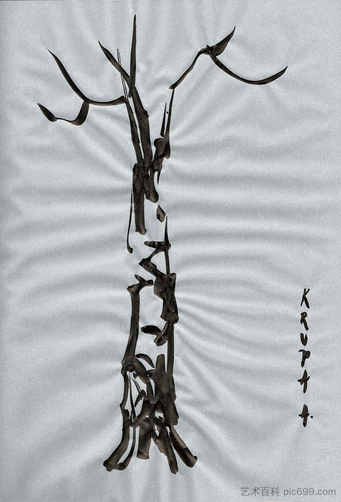 桦树 Birch (2013; Karlovac,Croatia  )，阿尔弗雷德·弗雷迪·克鲁帕