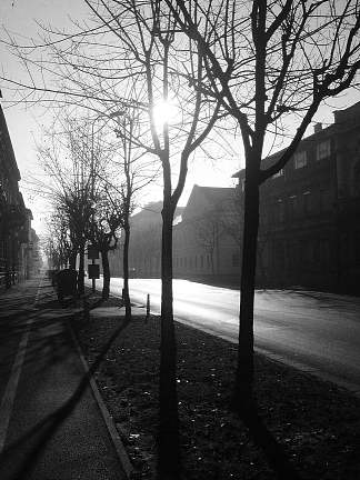 我的街道 My street (2016; Karlovac,Croatia                     )，阿尔弗雷德·弗雷迪·克鲁帕