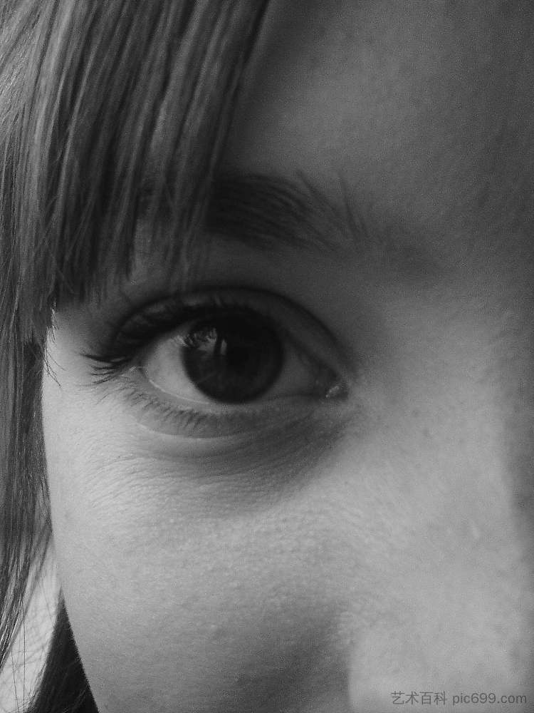 眼睛(克里斯蒂娜·穆克) The Eye (Kristina Muc) (2015; Karlovac,Croatia ),阿尔弗雷德·弗雷迪·克鲁帕