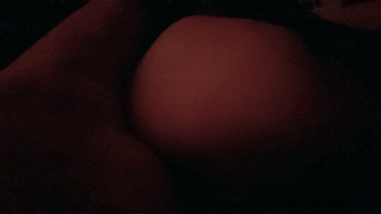 隐居的亲密关系 Secluded intimacy (2019; Croatia ),阿尔弗雷德·弗雷迪·克鲁帕