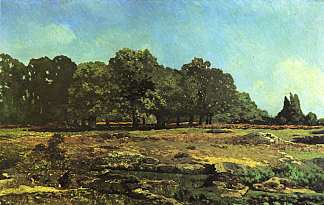 拉策勒圣克劳德附近的栗树大道 Avenue of Chestnut Trees near La Celle Saint Cloud (1865)，阿尔弗莱德·西斯莱