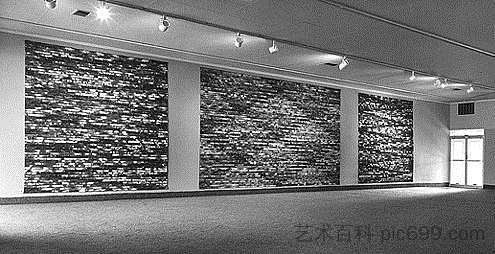 构造绘画 Constructed Paintings (1970 - 1971)，亚伦·麦可兰