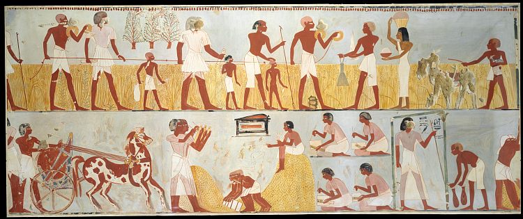 丰收场景 Harvest Scenes (c.1422 - c.1411 BC)，古埃及