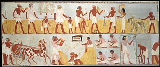 丰收场景 Harvest Scenes (c.1422 – c.1411 BC)，古埃及