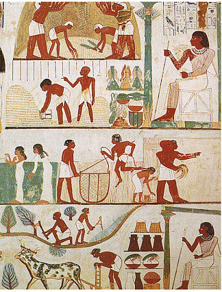 脱粒的农业场景 Agricultural Scenes of Threshing (c.1390 BC)，古埃及