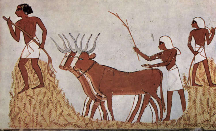 小麦脱粒 Wheat Threshing (c.1422 - c.1411 BC)，古埃及