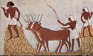 小麦脱粒 Wheat Threshing (c.1422 – c.1411 BC)，古埃及