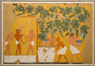 酿酒，伊普伊墓 Winemaking, Tomb of Ipuy (c.1279 – c.1213 BC)，古埃及