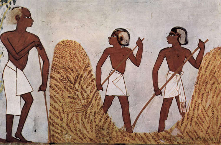 打谷场上的工人 Workers on the Threshing Floor (c.1422 - c.1411 BC)，古埃及