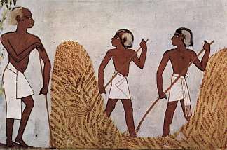 打谷场上的工人 Workers on the Threshing Floor (c.1422 – c.1411 BC)，古埃及