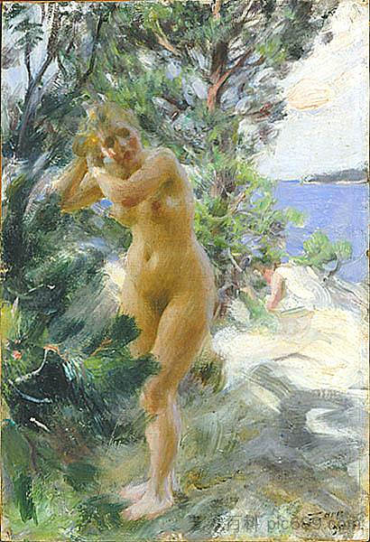 洗澡后 After the bath (1895),安德斯·左恩