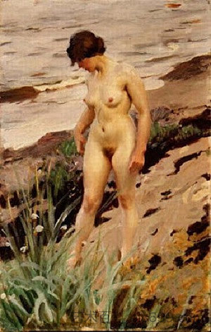 岸边的裸体 Nude by the Shore (1914)，安德斯·左恩