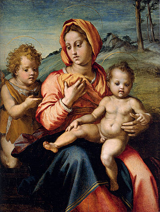 麦当娜和孩子与婴儿圣约翰在风景中 Madonna and Child with the Infant Saint John in a Landscape，安德烈·德尔·萨托
