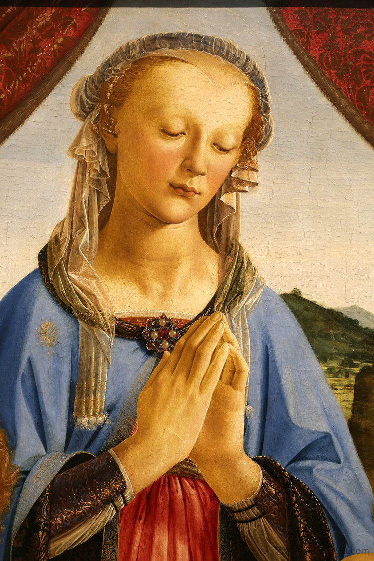 圣母子与两个天使（局部） Virgin and Child with Two Angels (detail) (c.1476 - c.1478)，安德烈·德尔·韦罗基奥