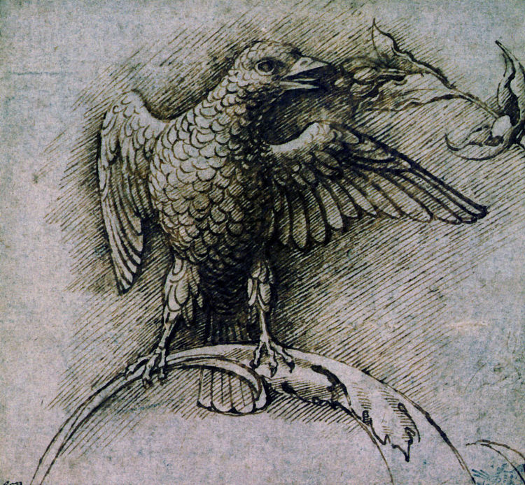 树枝上的鸟 Bird on a branch (1485)，安德烈亚·曼特尼亚
